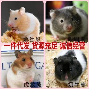 �}����w��z���Lë�������ܼ��y������������y��������l��