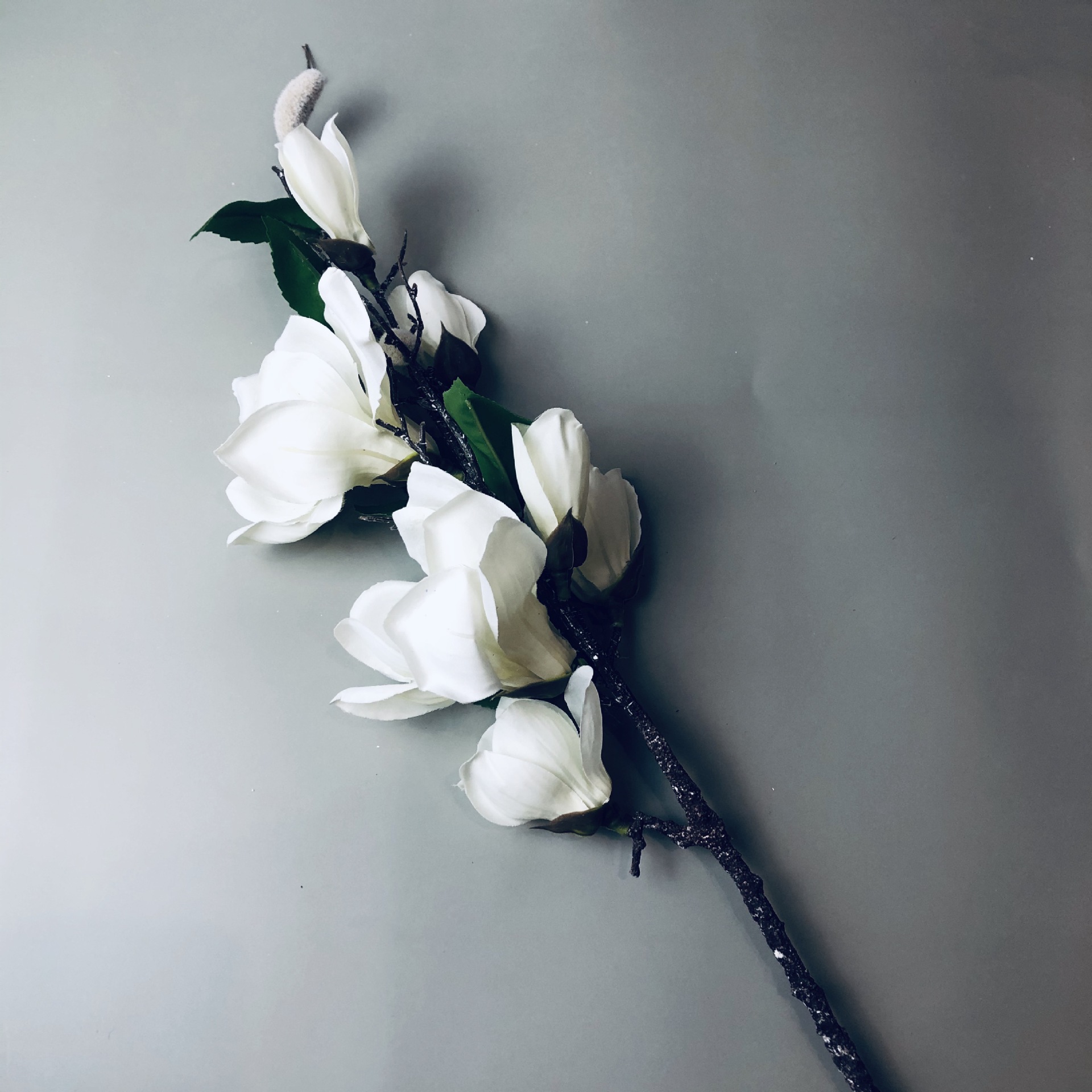 IMG_6554(20201028-004851)