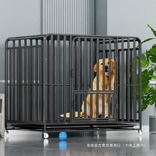 ���\������ȮС��Ȯ�҃ȹ��C̩�Ͽ»������������ݴ���Ȯ����ř�