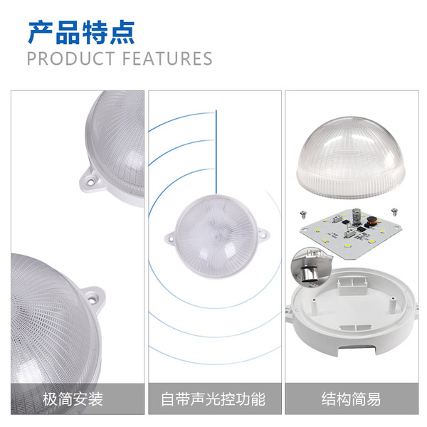 Induction bulb with light music