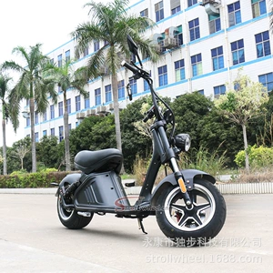 Yeni M2 Harley elektrikli motosiklet, şəhər üçün, 60V30Ah çıxarıla bilən batareya