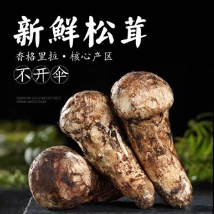 �����������������r���Įa�^δ�_����]һ�����l������͠I�B