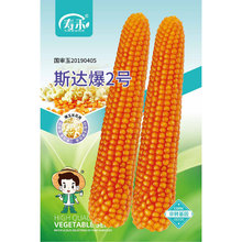 爆米花玉米种子 爆米花玉米种子品牌 图片 价格 爆米花玉米种子批发 阿里巴巴 爆米花玉米种子 爆米花玉米种子品牌 图片 价格 爆米花玉米种子批发 阿里巴巴