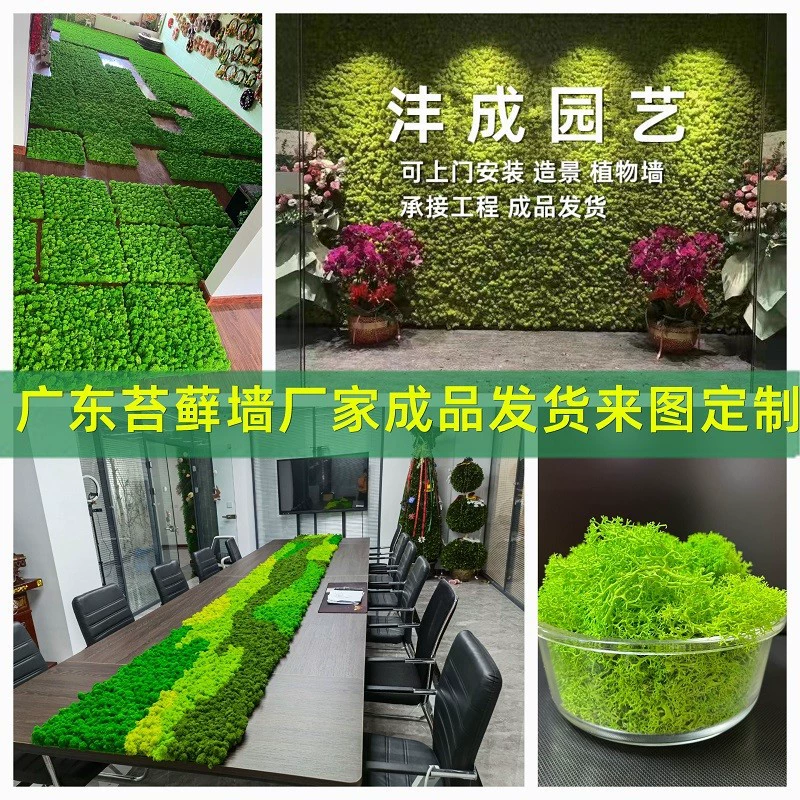 Оленьи рога, белый мох, искусственное растение, украшение для стены, ландшафтный дизайн, бессмертный мох, настенный искусственный зеленый мох, материал, микропейзаж