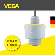 VEGAPULS C 21带电缆雷达物位计