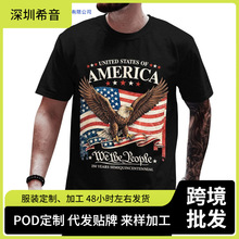 Cosmic Ripple 250th Anniversary American Flagӡ��������Ů