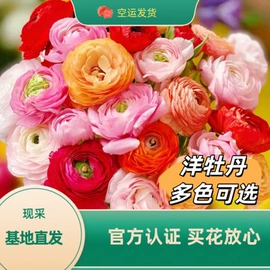 鲜切花;鲜花花艺制品;手捧花