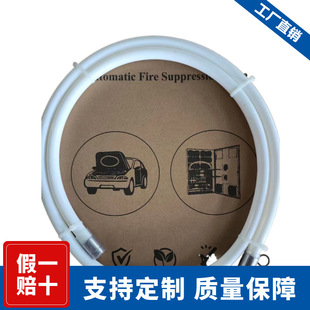 Pentaphylene Propane Fire Extinguisher Electric Vehicle Battery Protection Fire Extinguishing Device