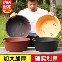 �����մ����Ϙ�֬�����m������Nֲ�A�����ɰ����������