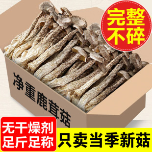 ��؛¹�׹�500g�r���خa¹�׾����r��؛�Ҝ�����ʳ�þ��㹽20g