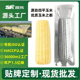 白糯玉米棒怎么选?四平真空甜糯玉米采购与批发指南