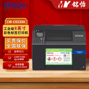 Epson Printer Cw-C6530A Colorful Label Printer Inkjet Printer Wide Label Printer