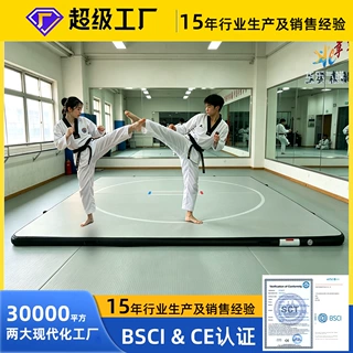 定制-跨境-亚马逊充气瑜伽垫拉丝气垫跆拳道地垫体操垫充气摔跤垫