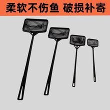 �~���~�� �O��ˮ���䳭�W���~�W���L�����~���ֳ��~�W���~�^�p�~