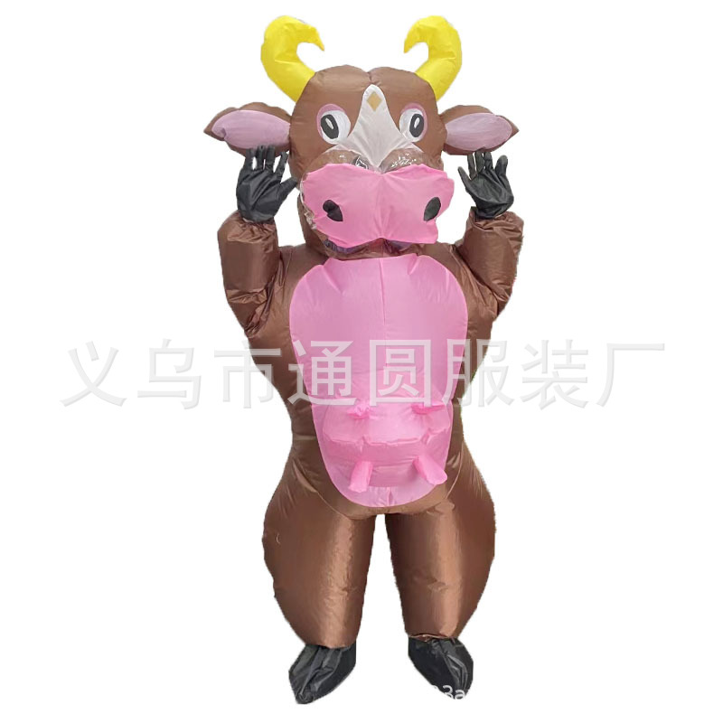 갈색 소 성체*엄선된 소재