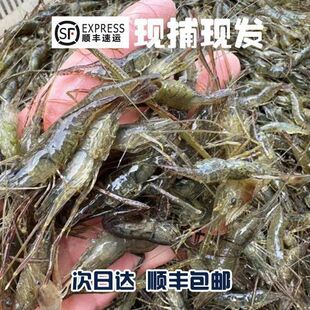 Ұ������S���T��΢ɽ�����r���r���r��ˮ���rС���r���r���w�ك�