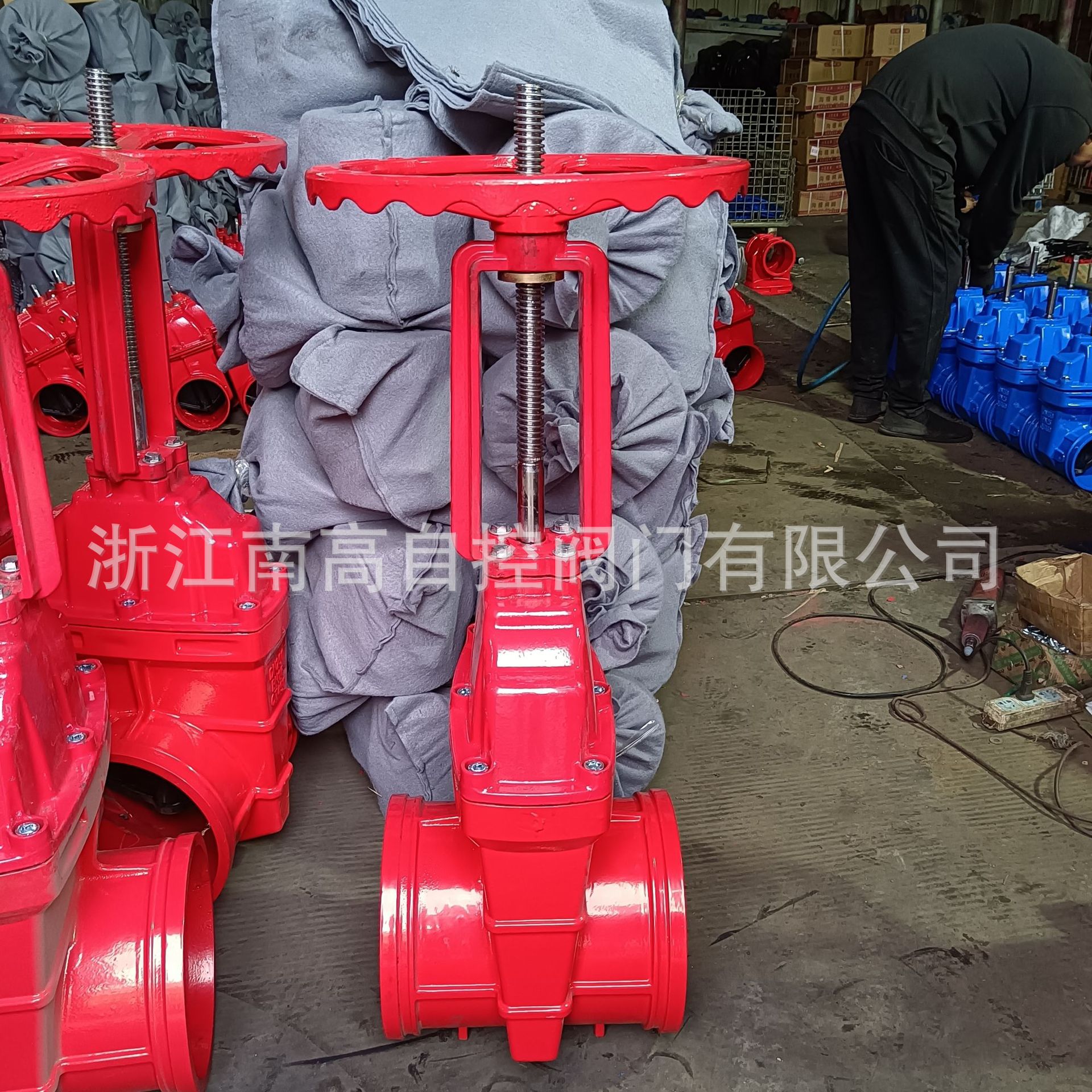 弹性座封闸阀 Z81X-16Q 沟槽明杆闸阀 卡箍闸阀 消防管道闸阀