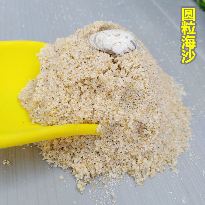 海沙幼儿园白沙 榆林儿童沙坑圆粒石英砂 室外沙坑造景细沙