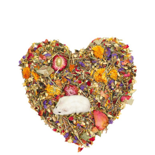 Dried flowers and grass bedding, hamster cage decoration and landscaping supplies, golden bears digging holes, rabbits, hedgehogs, pet deodorizing wood chips