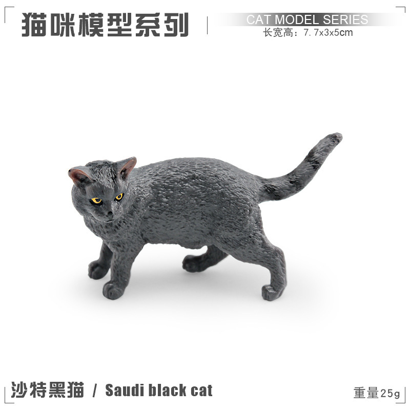 Pl127 - 1346 Saudi Black Cat 25g