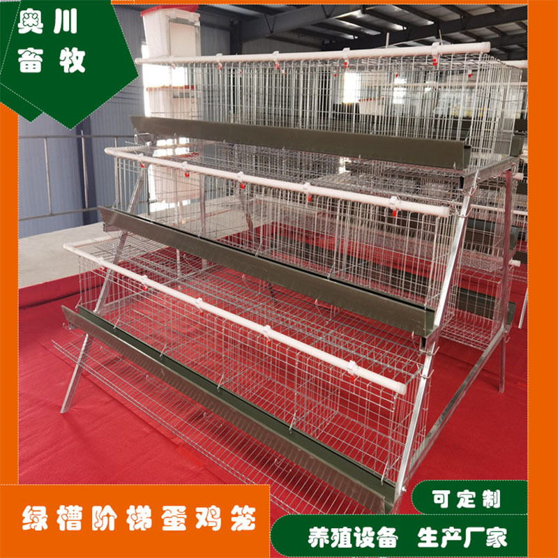 养殖场用三层四门绿槽蛋鸡笼子多层阶梯式笼养鸡设备阶梯蛋鸡笼子