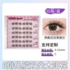 [6排免胶双尖太阳花36簇（10/11/12mm）]