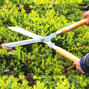 �@ˇ���������޼���֦�޻��@����֦�����ݼ����S���R����ƺ����