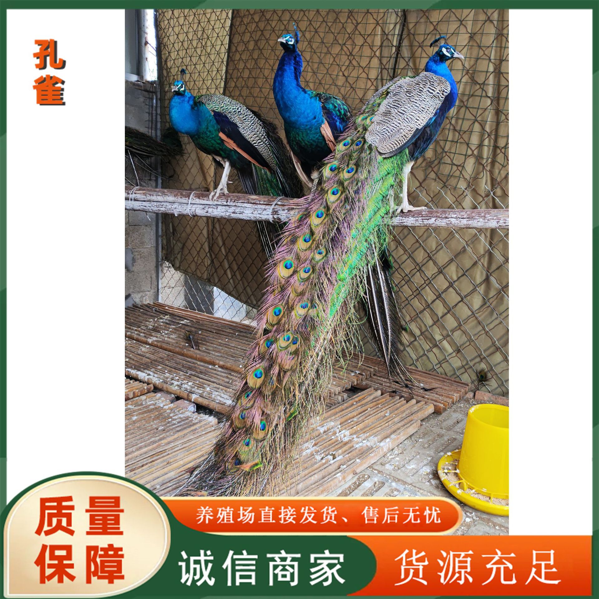 391b9a3bf7a7e9185f95168fae24bb