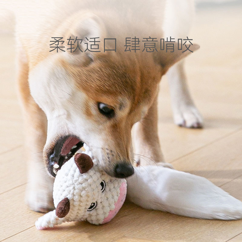 Juguete para mascotas perro molar cuerda de algodón entrenamiento resistente a los mordiscos perros medianos y pequeños que alivian el aburrimiento acompañar el sonido del gato juguete de peluche