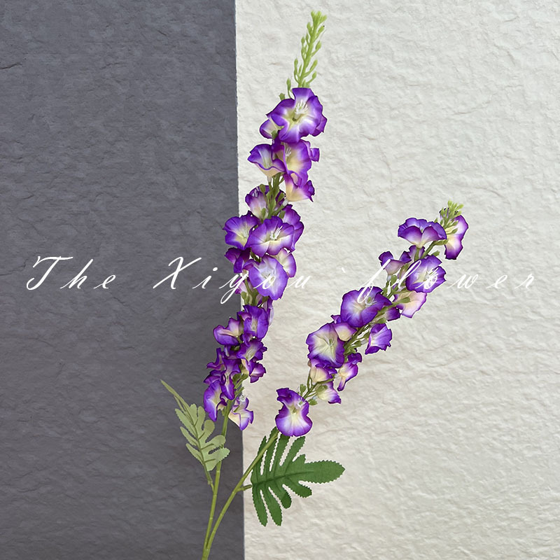 치히로-딥 퍼플