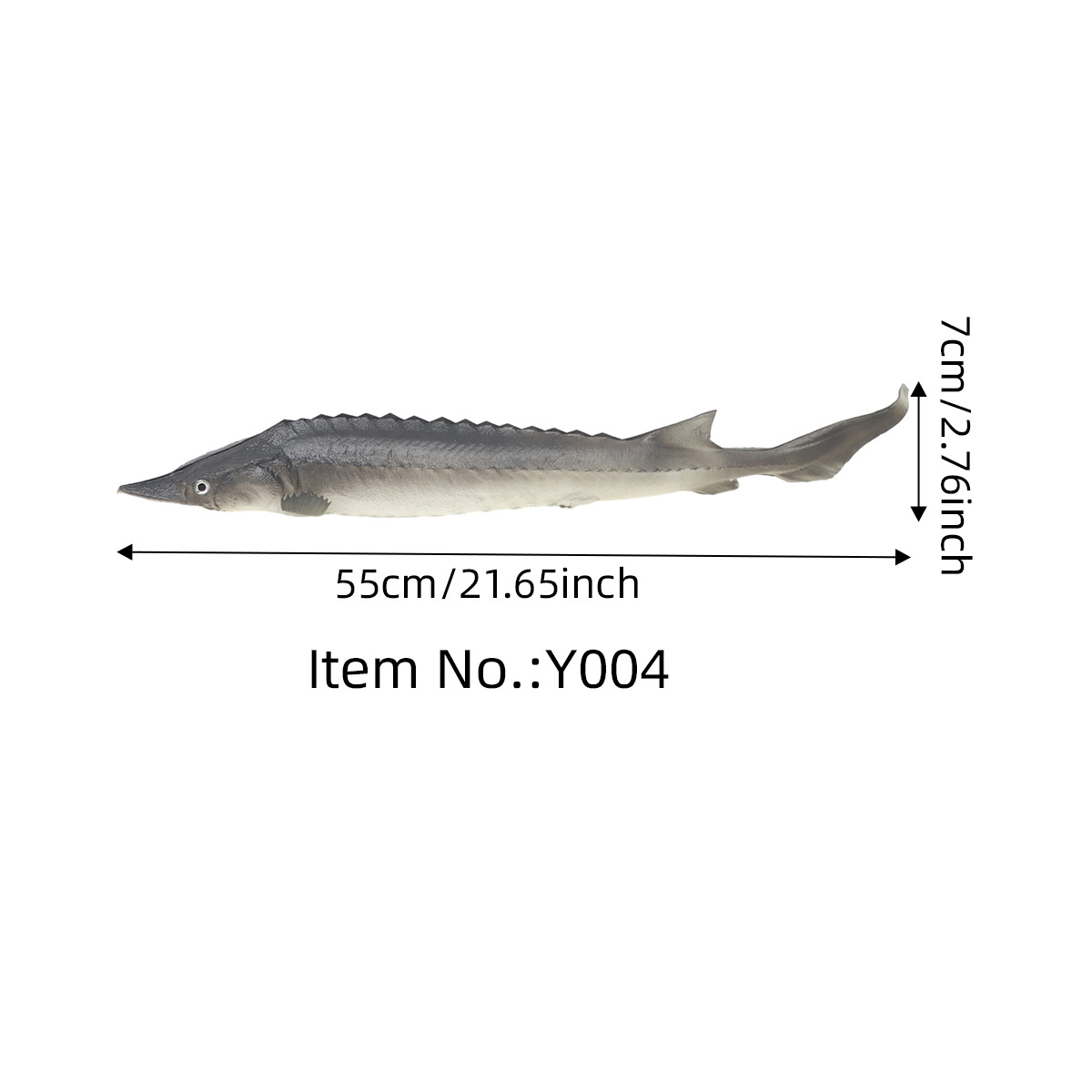중국 철갑 상어