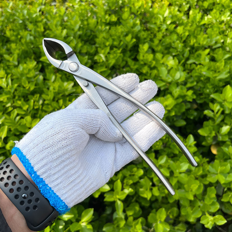 스테인레스 스틸 중경사 가위 8inch