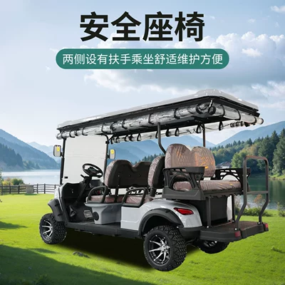 Golf Carts for Export: 2-Seater, Elektrikli qolf avtomobilləri