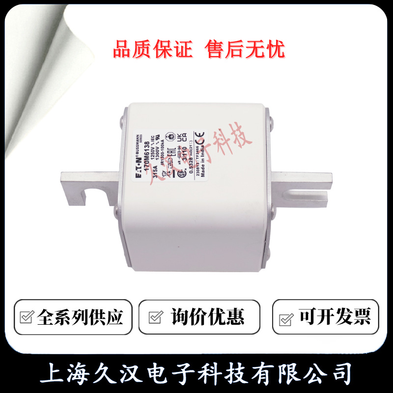 170M6138 170M6139 170M6140 170M6141 170M6142 BUSSMANN 熔断器