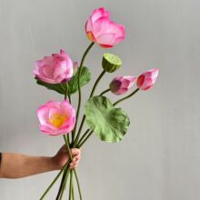 ���Sֱ�N����ɻ� ���~ ɏ�� ɏ�� �Ҿ�Ӱ���쾰�bٻ��羳Ʒ�|