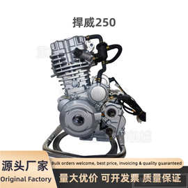 捍威250发动机总成工厂定制ZONGSHEN三轮车250cc水冷发动机总成