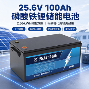 24V�����늳؏S�Ҷ���100Ah��܇���������Դ�U��䇹������ϵ�y