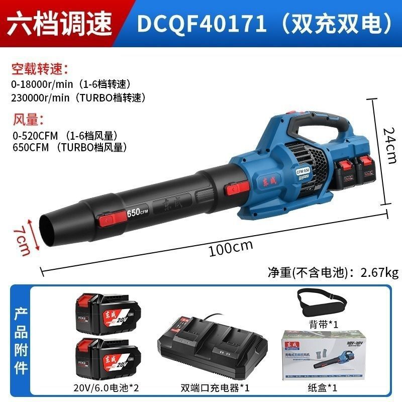 Dongcheng DCQF40171 헤어드라이어/6.0 배터리 2개 및 충전기 1개