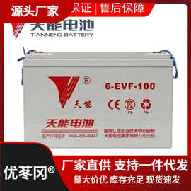 天能蓄电池6-EVF-100电动汽车洗地机12V100AH叉车环卫车四轮电轿