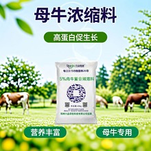 30%��ֳţ��s��40kgιĸţ�����a�������Ʒ�I�Bֲ���Ըߵ���