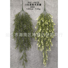 ����ֲ��ꐸݲ�  �ҾӾGɫ�����b� �zӰ���� ���W�L��  �S�����l