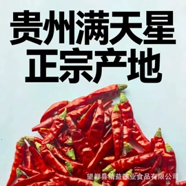 干辣椒;烧烤调味料