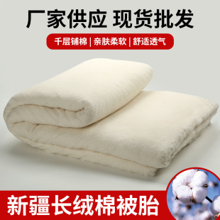 Cotton Quilt Cotton Batting Cotton Spring & Fall Single Mattress Student Quilt Pure Cotton Winter Quilt Core Thickeneded and Warm