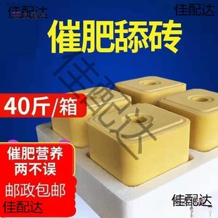 ţ����u�����}�uţ����u΢��Ԫ�ؠI�B�}�K���������ţ����̫��