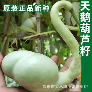 ���Z���J�N�Ӵ�ƺ��J�N���^�p���J�N������[�����J�N���^�p���J