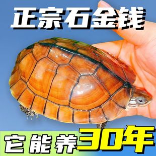 ���ڡ����Nʯ���X��ˮ��ʯ���X�S�����r��ˮ�a���Ҝ��ɼ��B��ؔ
