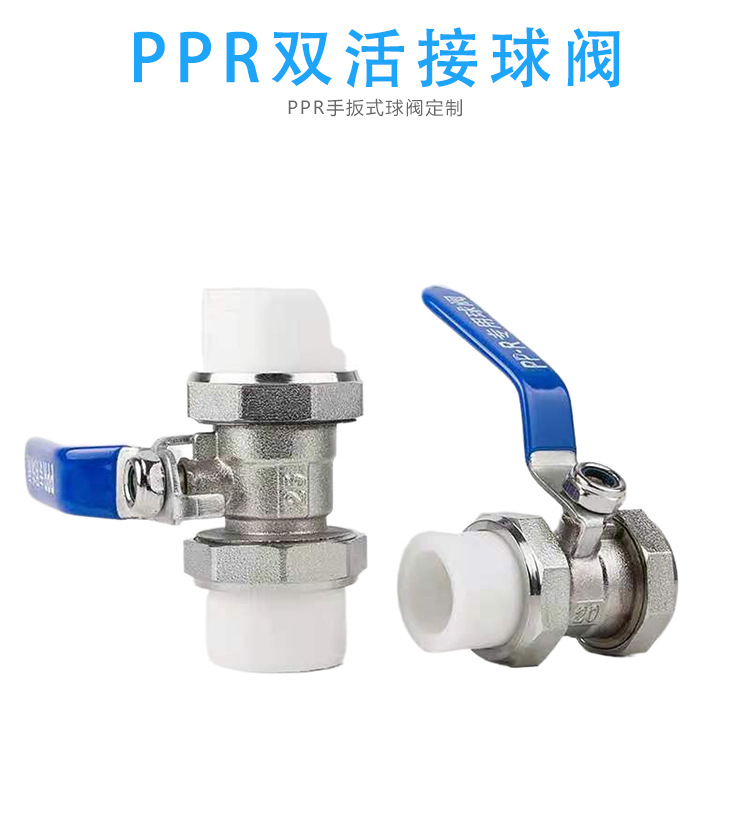 PPR 4 6 DN25PPR PPR 4 6 DN25PPR