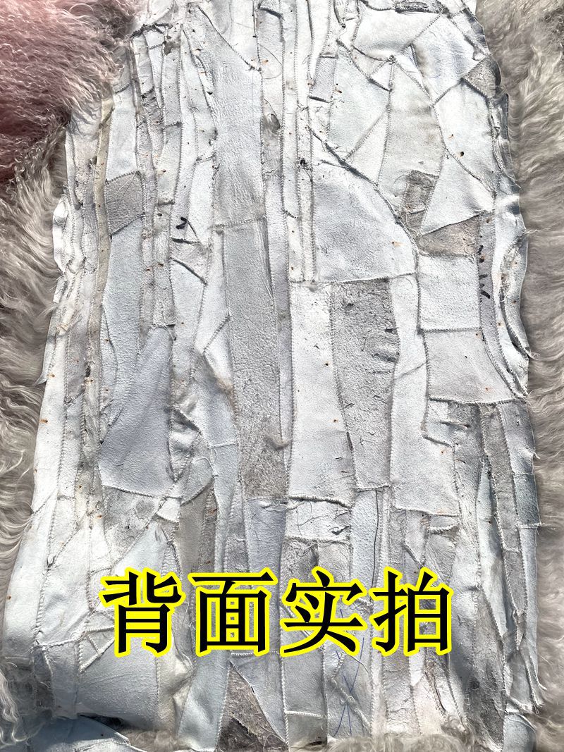 IMG_2703_副本.jpg