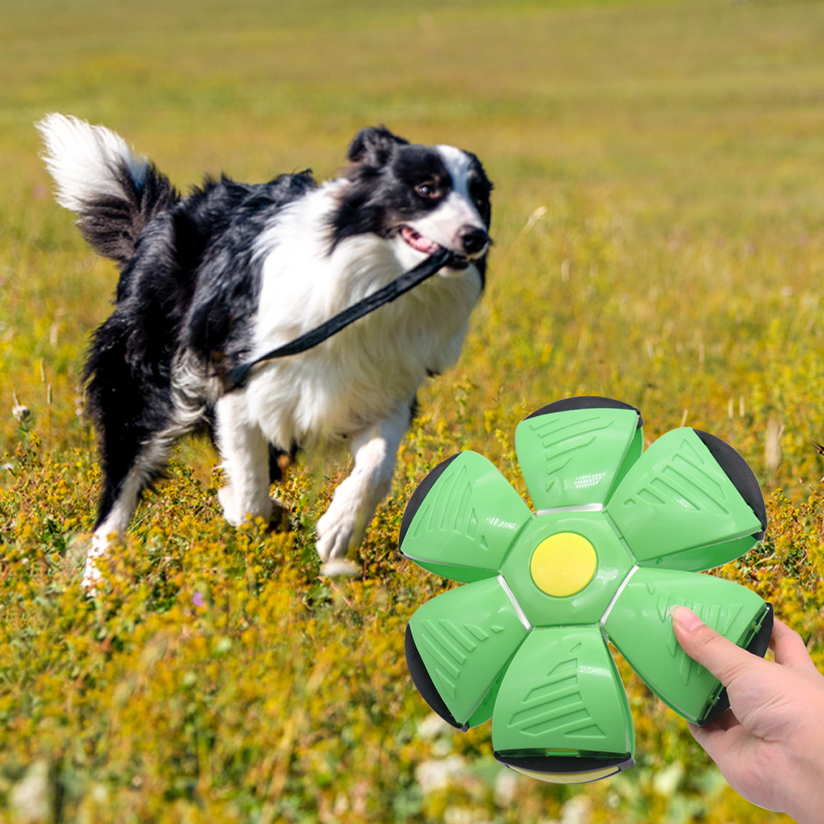 Juguetes para perros para aliviar el aburrimiento, pisar la pelota, interacción al aire libre, Frisbee para perros, juguetes para mascotas luminosos, suministros para bolas de platillo volador para perros