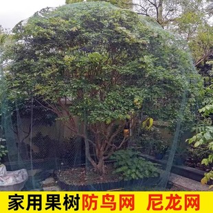 �r���~�����@���B�W ���B�þW ���o�W���������љ��ұ��o�����W